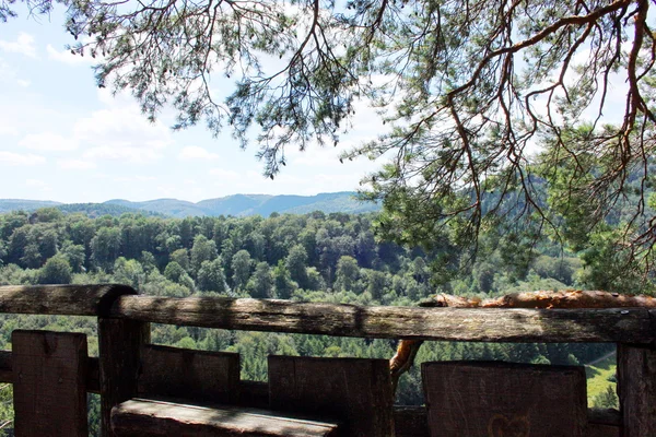 Viewpoint i skogen — Stockfoto