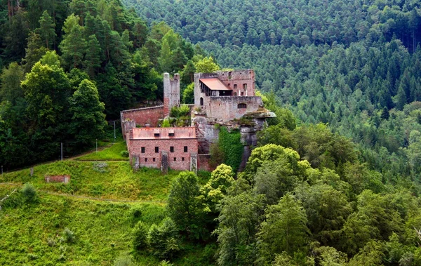 Velho castelo ruína na floresta — Fotografia de Stock