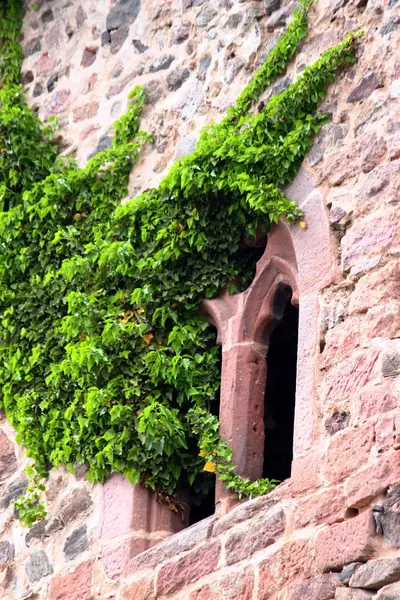 붉은 사암의 중세 성 — 스톡 사진