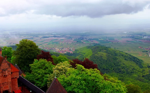 View of the Rhine Rift — Stock Photo, Image