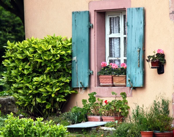 Evin dışında bahçede