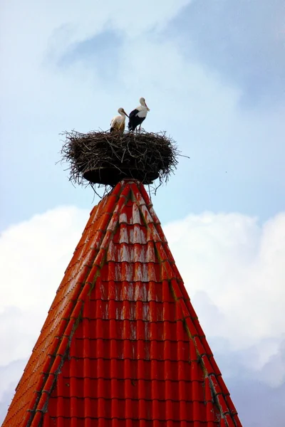 Cegonha branca na torre — Fotografia de Stock