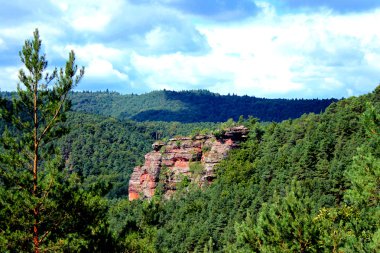 Palatinate Forest