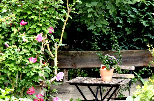 Sitzecke im Garten — Stockfoto