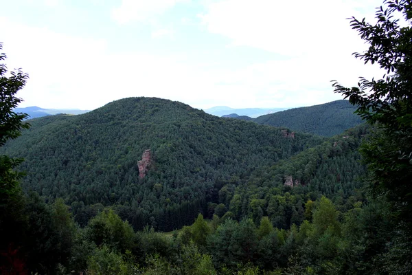 Palatinate Forest — Stok fotoğraf