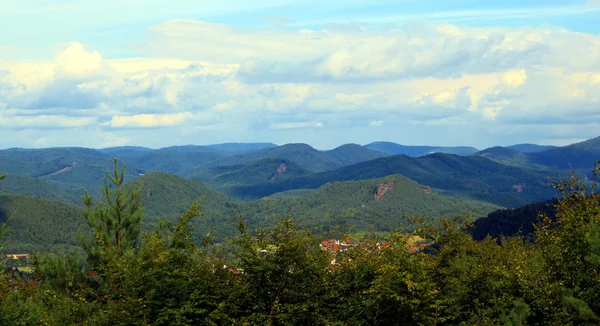 Pfälzerwald — Stockfoto