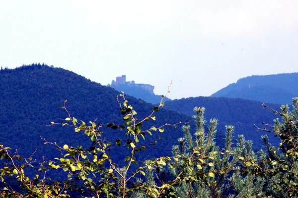 Pfälzerwald — Stockfoto