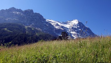 Eiger Grindelwald içinde