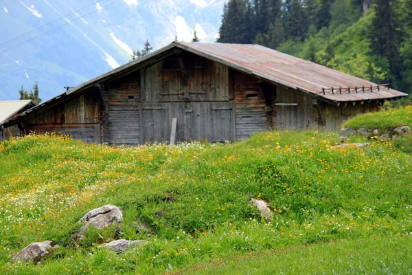 Gîte dans les montagnes — Photo