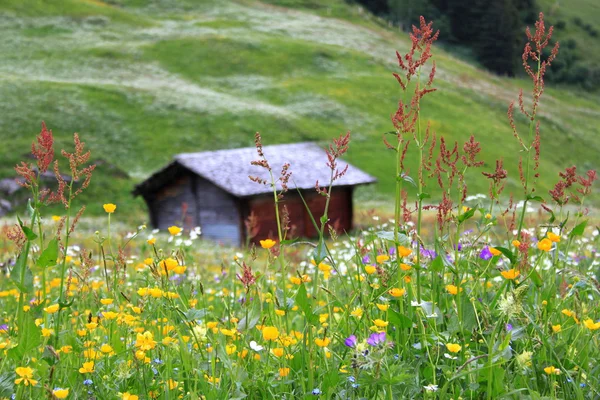 Gîte dans les montagnes — Photo