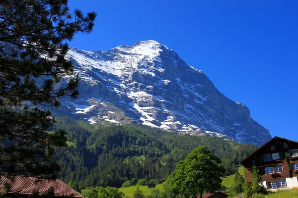 Eiger i Grindelwald — Stockfoto