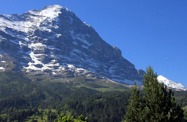 Eiger a Grindelwald — Foto Stock