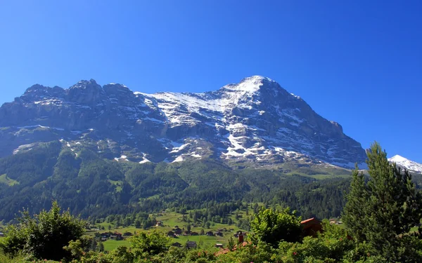 Eiger v Grindelwaldu — Stock fotografie