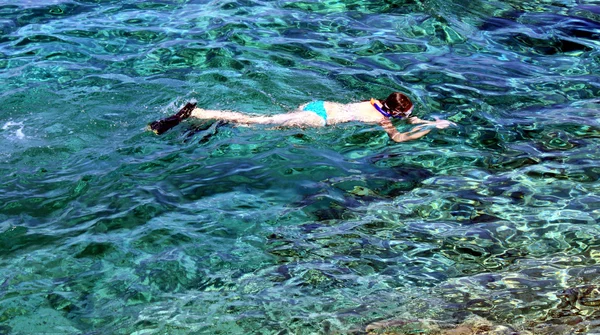 Snorkeling — Stock Photo, Image