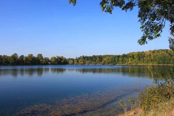 Silent Pond — Stock Photo, Image