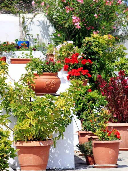 Yaz tatili güzel Yunanistan