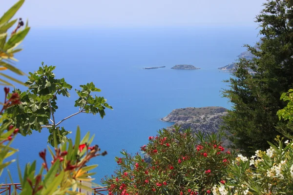 Verano junto al mar en Grecia — Foto de Stock