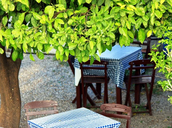 Unter dem Zitronenbaum sitzen — Stockfoto