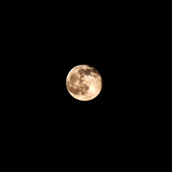 Obserwując księżyc w pełni — Zdjęcie stockowe