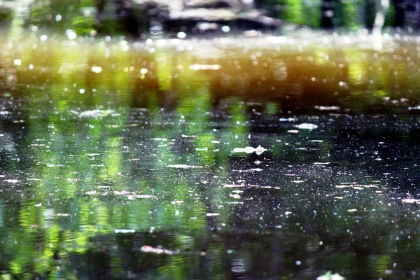 Água turva na superfície da lagoa — Fotografia de Stock