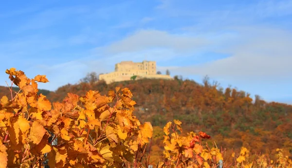 Castelo de Hambach no outono — Fotografia de Stock