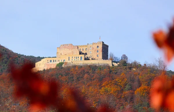 Hambach slottet i höst — Stockfoto