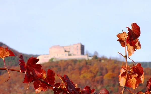 Hambach Castle in autumn — Stock Photo, Image