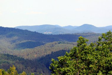Panorama Palatinate Forest gelen