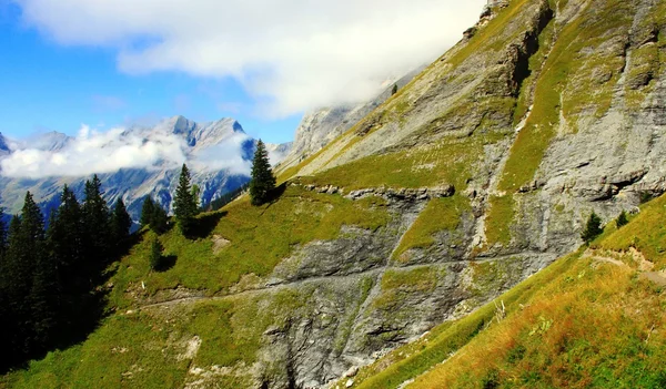 Dans les hautes montagnes de Suisse — Photo