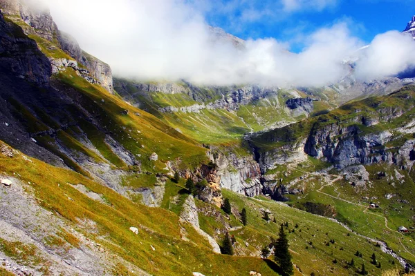 I de höga bergen i Schweiz — Stockfoto