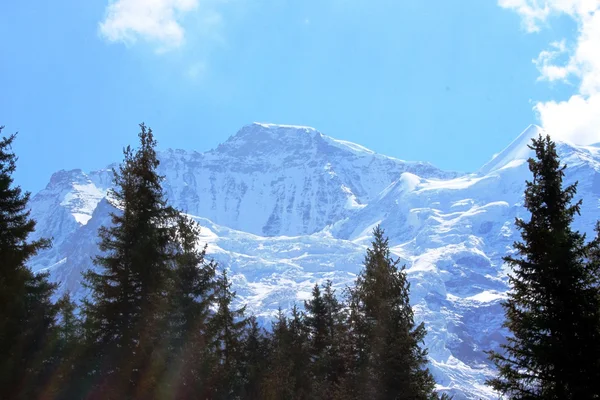 Ψηλά βουνά στην Ελβετία — Φωτογραφία Αρχείου