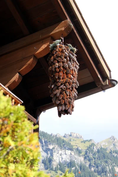Door decorations from pine cones — Stock Photo, Image