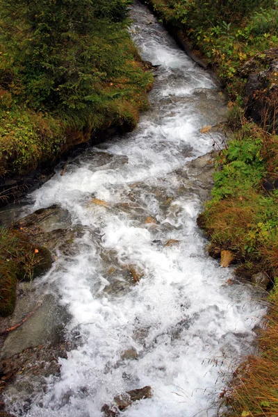 Dziki rwący strumień górski — Zdjęcie stockowe