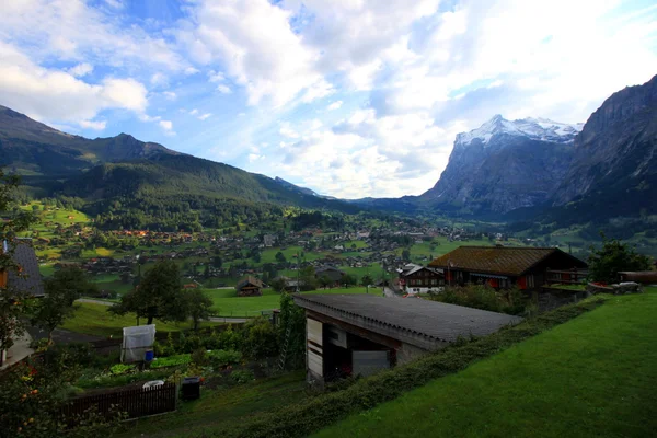 Med utsikt över Grindelwald sommarmorgon — Stockfoto