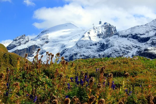 In the high mountains of Switzerland — Stock Photo, Image