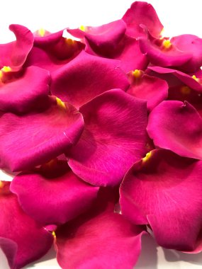 güzel gül yapraklarının arkaplanı