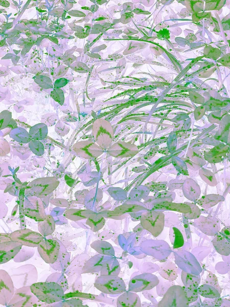 抽象的な花の背景 混合技術 — ストック写真