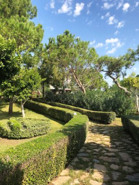 Şık, güzel bir manzara tasarımı. Yeşil çimenler ve ağaçlar. Seyahat tatili kavramı
