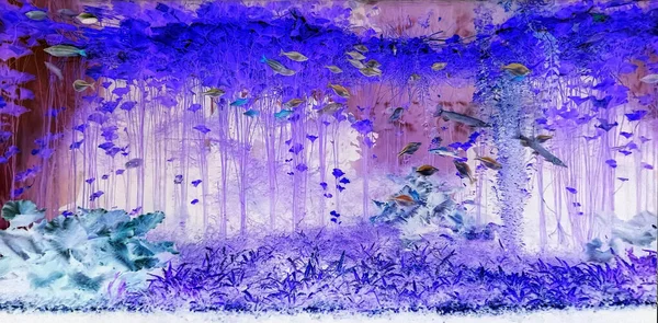 Abstrakte Ungewohnt Surreal Schöne Hintergrund Meeresbewohner Ästhetik Kunst — Stockfoto