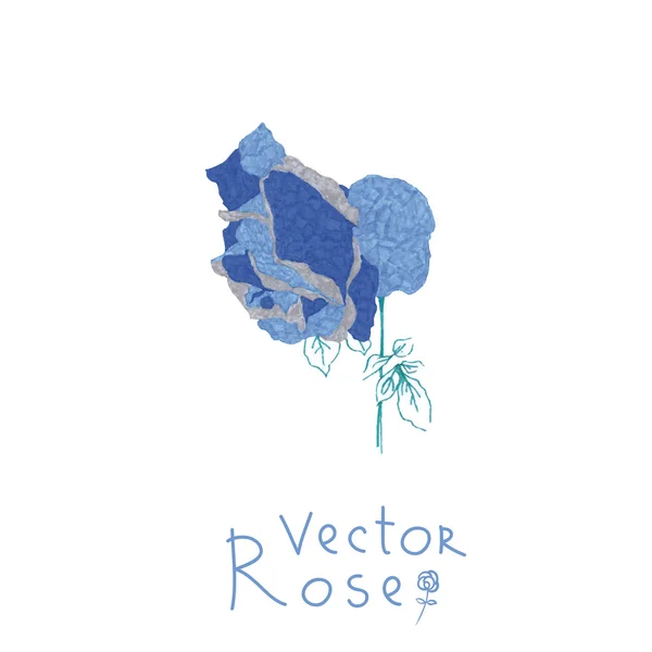 Rosa. — Vettoriale Stock