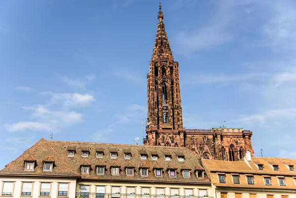 Strazburg Gotik Katedrali ve tarihi kent, Fransa — Stok fotoğraf