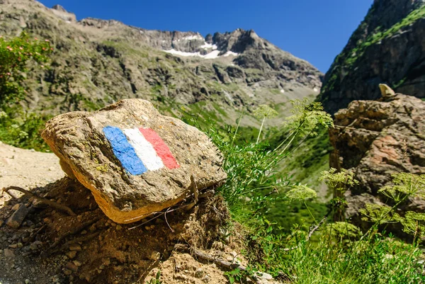 French Flag in Alps, France — Stock Photo, Image