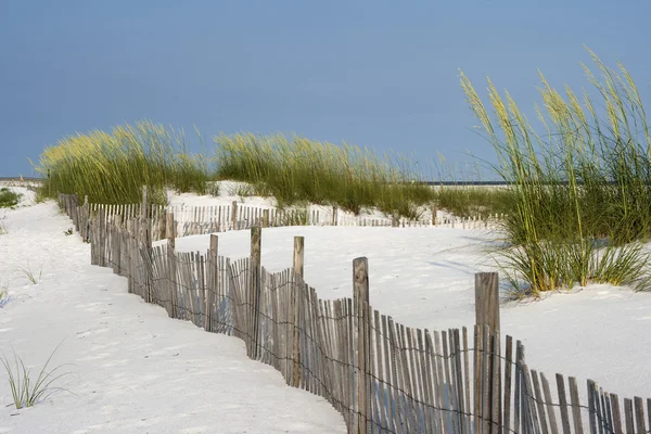 Песчаный забор на пляже Пенсакола — стоковое фото