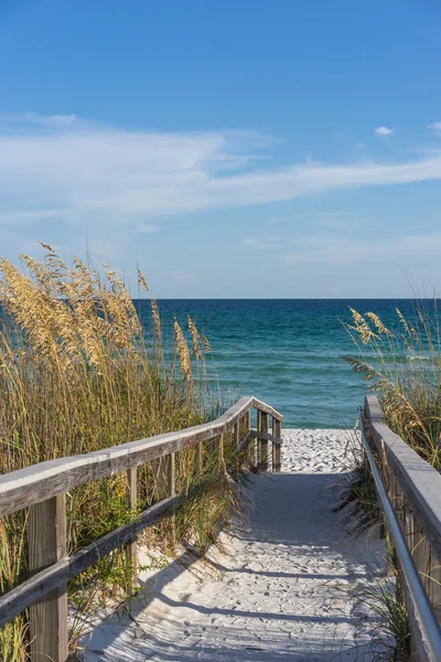 Sentier pédestre vers la plage au paradis — Photo