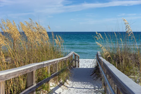 Beach boardwalk kumullar ve deniz yulaf ile — Stok fotoğraf