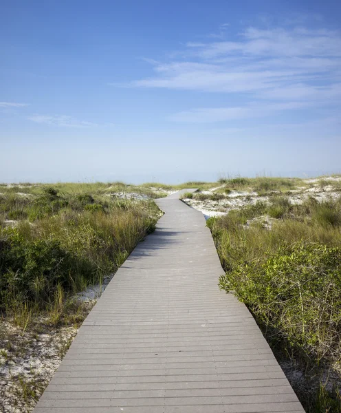 Strandpromenade von Florida durch Dünen — Stockfoto