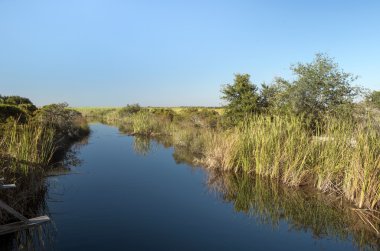Tatlı su kanal Ft. Pickens, Florida