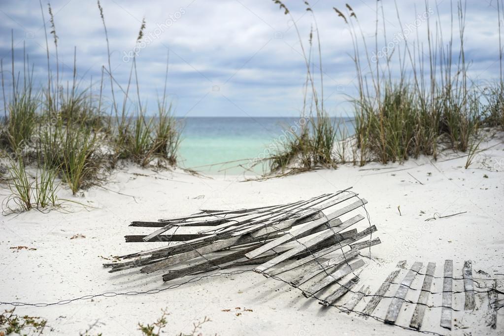 Sand Fence and Sea Oats at Florida Beach