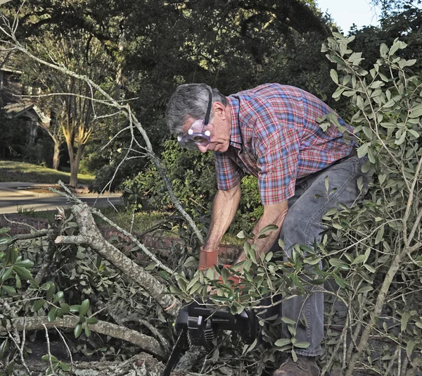 Sciage des branches d'arbres et des débris après la tempête — Photo