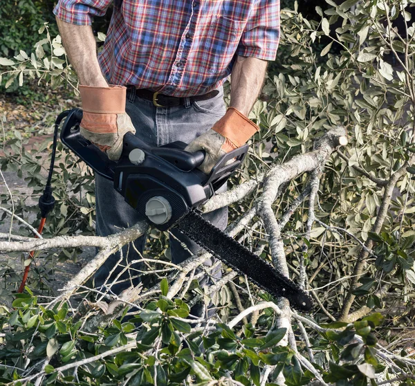 Limpeza do quintal após uma tempestade — Fotografia de Stock